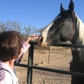 Nona petting the horse.
