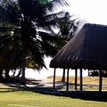 A recently built thatch hut at Tulum, looking off to the ocean.