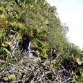 Travis climbing a rough trail up the cliff.