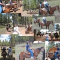horse riding