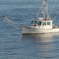 Portland-Lobster Boat 172