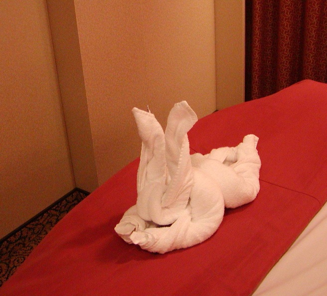 Towel_Animals_in_room_039.jpg