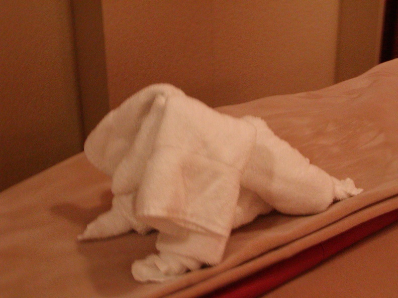 Towel_Animals_in_room_053.jpg