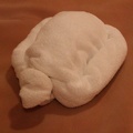 Towel Animals in room  101