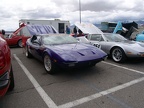 Car show the day before the race.  Please add comments to identify the cars and/or owners.