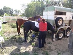 Victoria Breaking Randy's Horse, September 2012