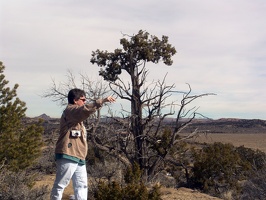 Nessa and the interesting tree 2