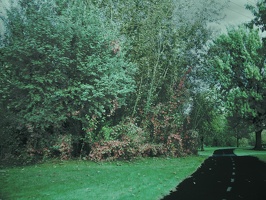 Boise Green Belt (Colorized Infrared) 1