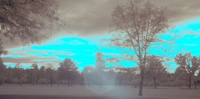 Boise Green Belt (Colorized Infrared) 3