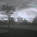 Boise Green Belt (Colorized Infrared) 4