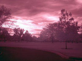 Boise Green Belt (Colorized Infrared) 5