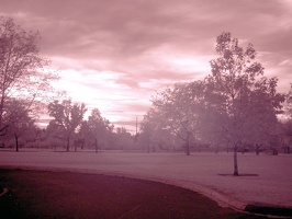 Boise Green Belt (Colorized Infrared) 6