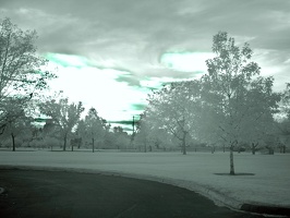 Boise Green Belt (Colorized Infrared) 7