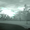Boise Green Belt (Colorized Infrared) 7