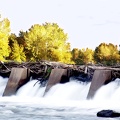 Boise River 1