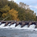 Boise River 5