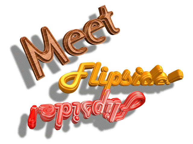 Meet_Flipside.gif